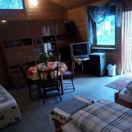 Fischer Гостевой дом Плауэн