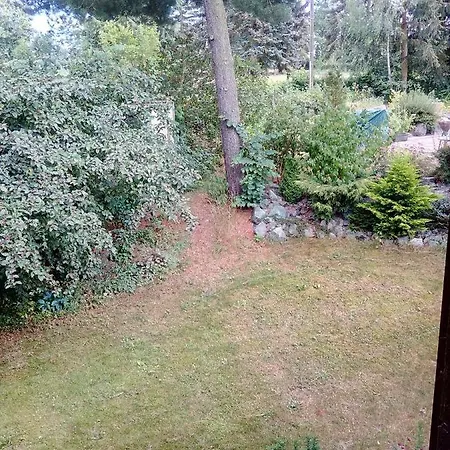 Fischer Plauen