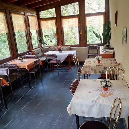 Fischer Плауэн