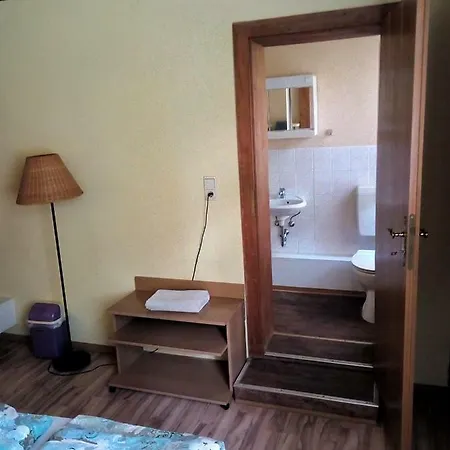 Fischer 3* Плауэн