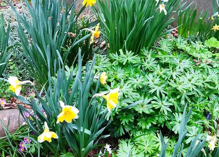 Pensionat Fischer 3*