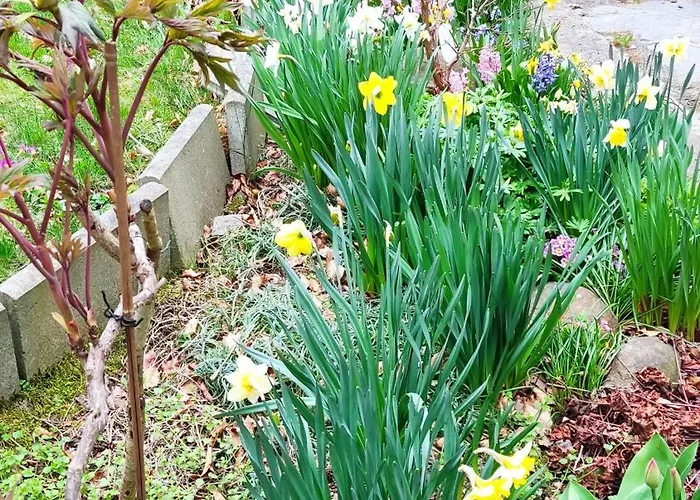 Pensionat Fischer Plauen