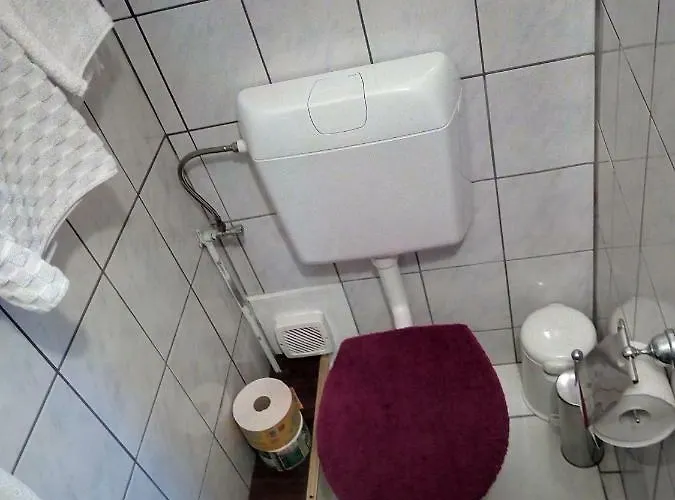 Fischer Pensionat 3*